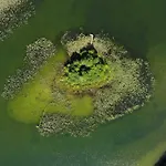 Farma Agro Nad Jeziorem *