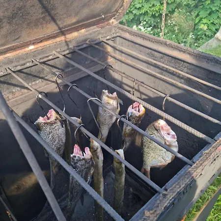 Gospodarstwo agroturystyczne Agro nad jeziorem