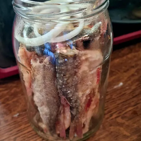 Agro nad jeziorem Gospodarstwo agroturystyczne Miastko (Bytow)