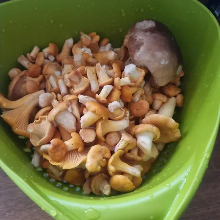 Agro Nad Jeziorem *