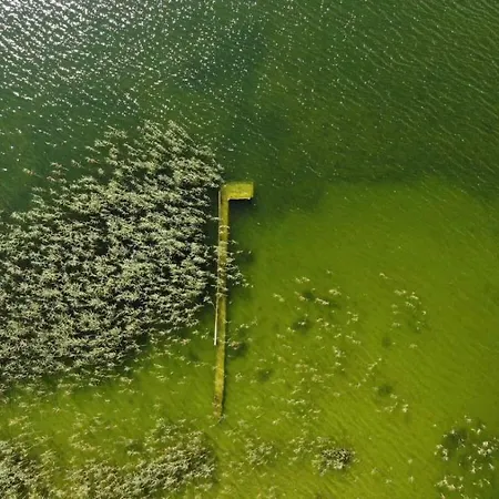 农家乐 Eko-fish 米亚斯特科