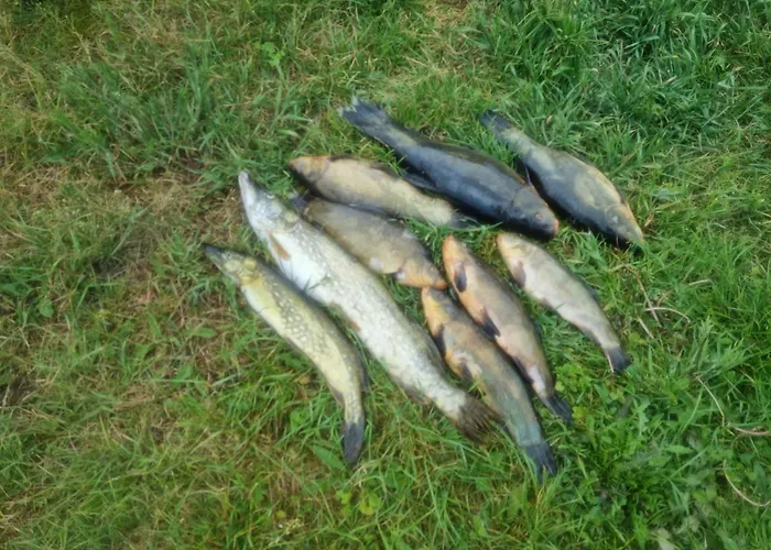 Agro Nad Jeziorem Farma