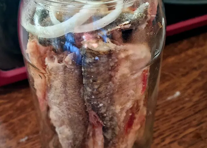 Agro Nad Jeziorem Farma Miastko (Bytow)