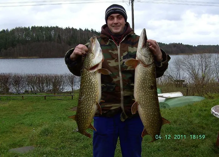 Farma Agro Nad Jeziorem *