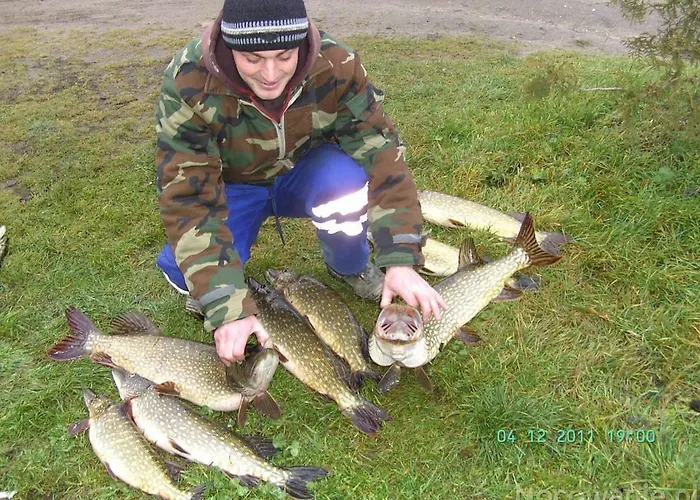 Farma Agro Nad Jeziorem